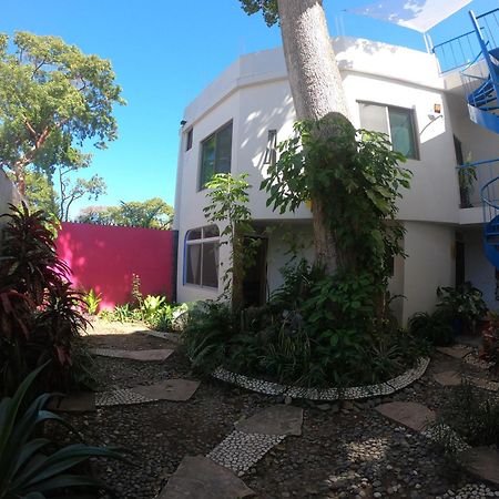 Casa Arbol De Paz Habitacion Doble Chacala  Dış mekan fotoğraf