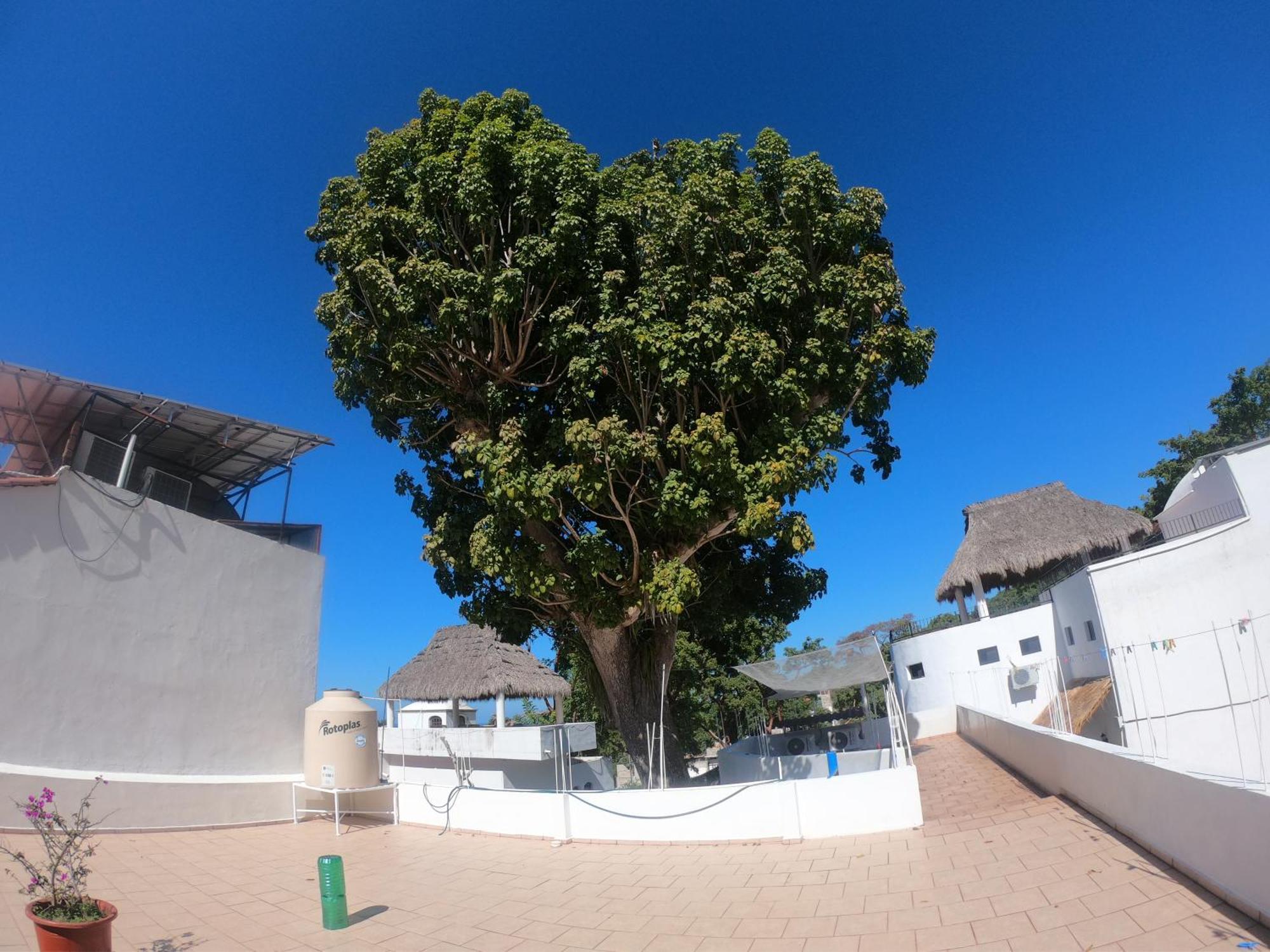Casa Arbol De Paz Habitacion Doble Chacala  Dış mekan fotoğraf