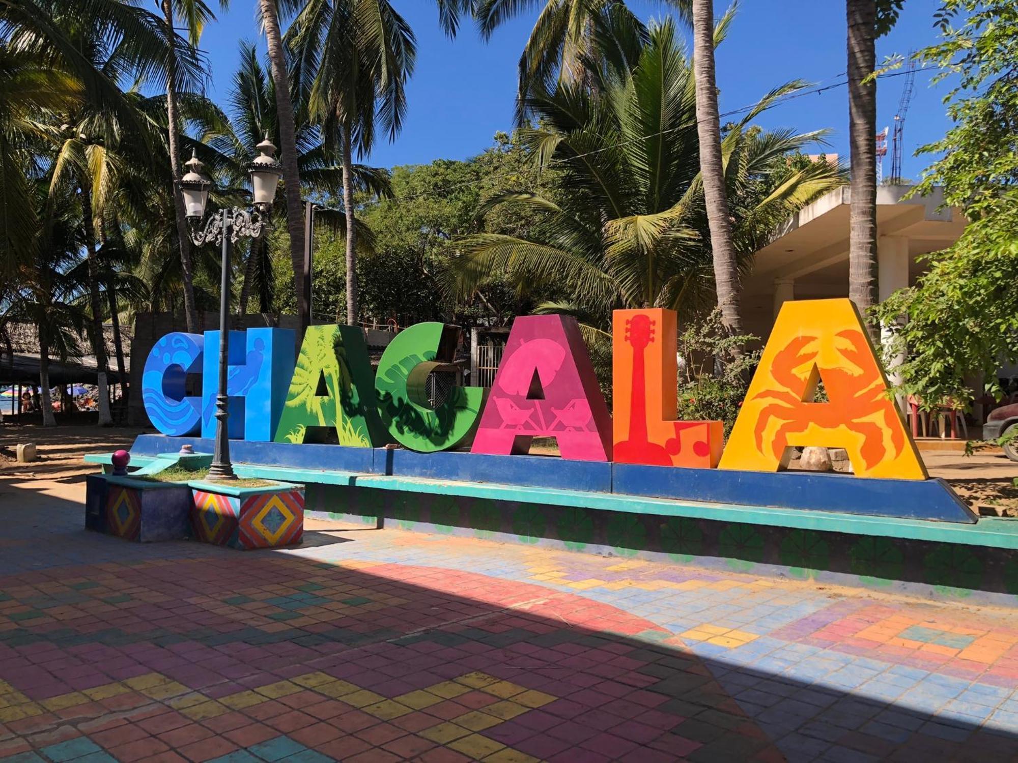 Casa Arbol De Paz Habitacion Doble Chacala  Dış mekan fotoğraf